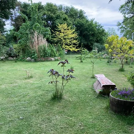 Conedue Oda ve Kahvaltı