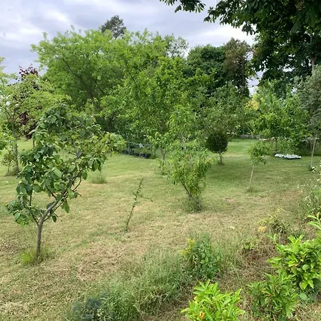 Conedue Væggerløse