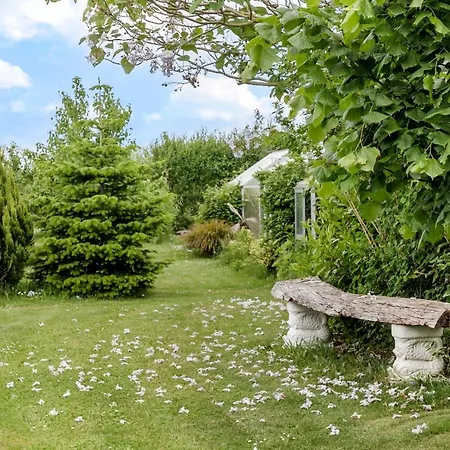 Conedue Væggerløse