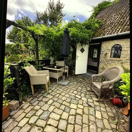 Conedue Væggerløse