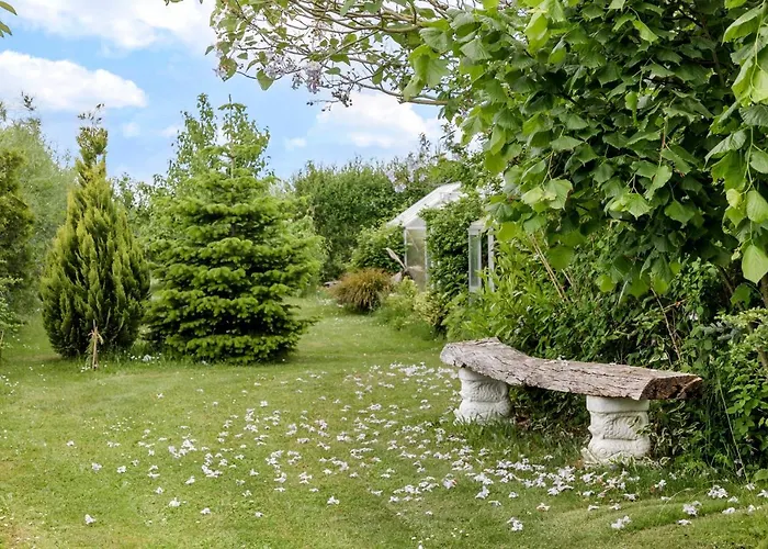 Conedue Væggerløse